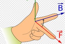 Lý thuyết quy tắc bàn tay trái và bài tập vận dụng - Tung Tăng Mua Sắm