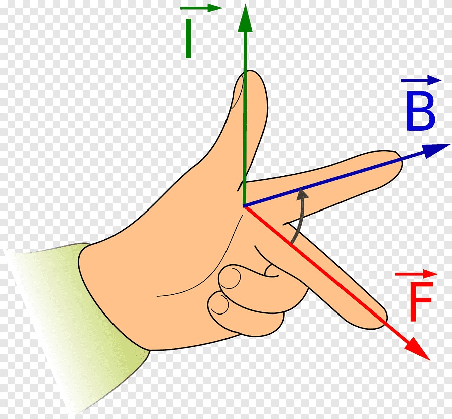 Lý thuyết quy tắc bàn tay trái và bài tập vận dụng - Tung Tăng Mua Sắm