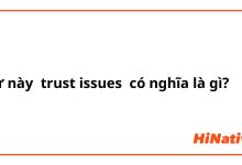 trust issues" có nghĩa là gì?