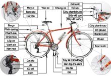 Em hãy kể tên và nêu chức năng một số bộ phận của xe đạp?. Theo em, cần làm gì để tham gia giao thông bằng xe đạp an toàn?