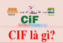 CIF là gì?