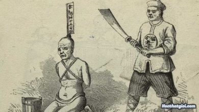 Phân tích nhân vật Viên quản ngục trong Chữ người tử tù của Nguyễn Tuân