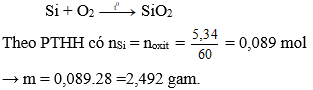 Trắc nghiệm Hóa học 9 Bài 30 (có đáp án): Silic. Công nghiệp silicat