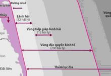 Đường cơ sở là gì? Cách xác định đường cơ sở của Việt Nam