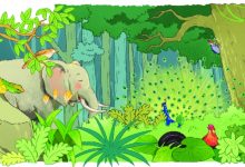Viết 3-5 câu giới thiệu tranh (ảnh) về một con vật sống trong rừng