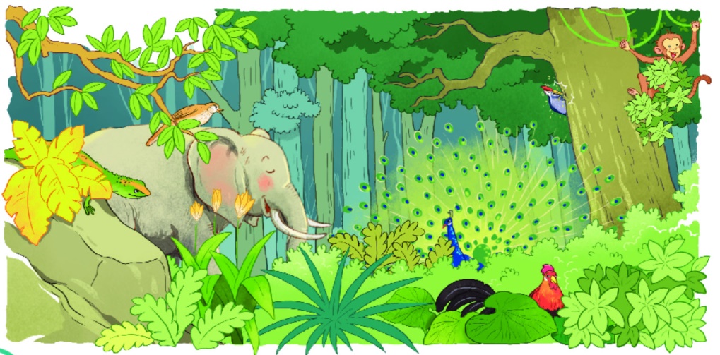 Viết 3-5 câu giới thiệu tranh (ảnh) về một con vật sống trong rừng