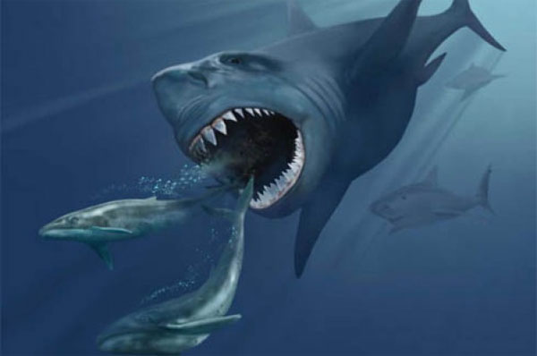 Cá mập khổng lồ Megalodon