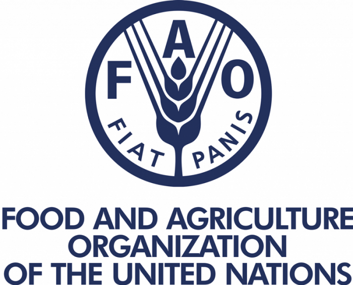 Mục tiêu và vai trò của tổ chức FAO