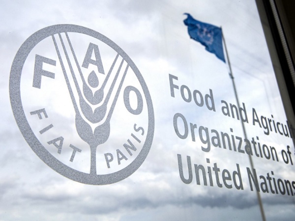 FAO là tổ chức Nông lương Liên Hiệp Quốc