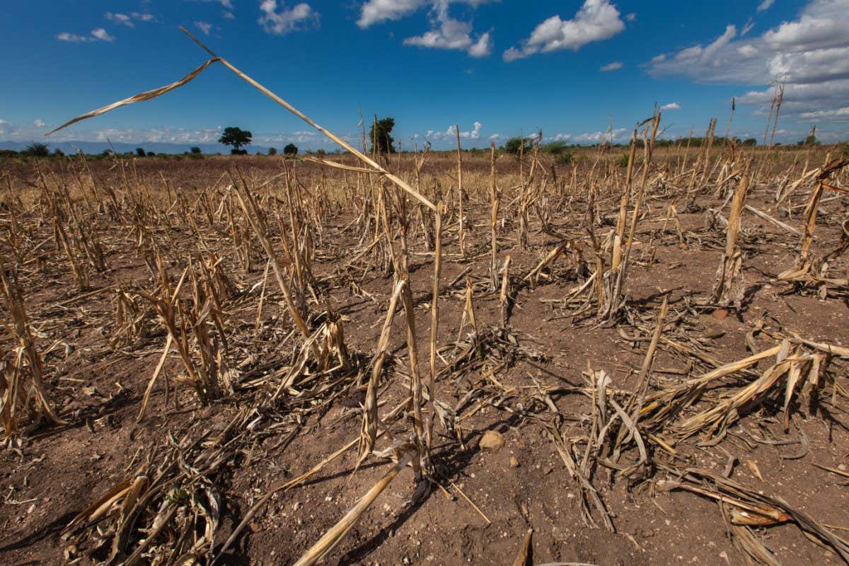 Thế giới sắp đón El Nino, biến 2023 thành năm nóng kỷ lục