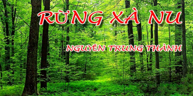 Phân tích tác phẩm Rừng xà nu của Nguyễn Trung Thành