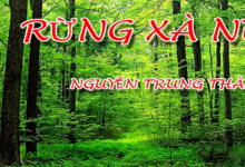 Phân tích tác phẩm Rừng xà nu của Nguyễn Trung Thành